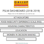 PSLM Gallup Pakistan Digital Analytics