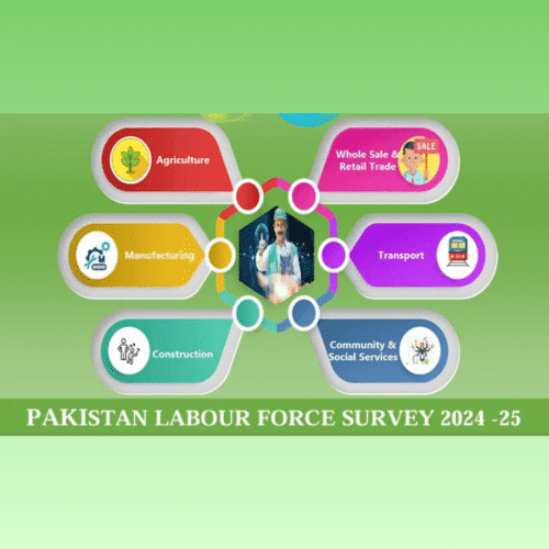 Pakistan Labour Force Survey 2024-25
