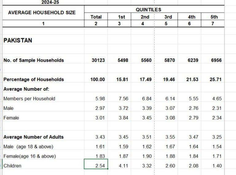 A Quiet Shift: Fertility Is Falling Among Pakistan’s Richest