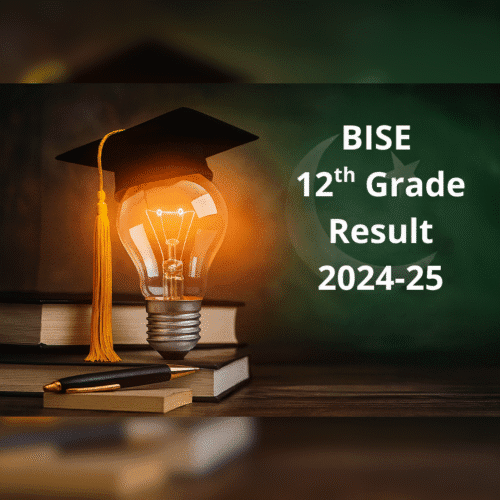 BISE 2024-25 Gallup Pakistan Digital Analytics