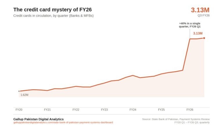 Mystery of Credit cards data !