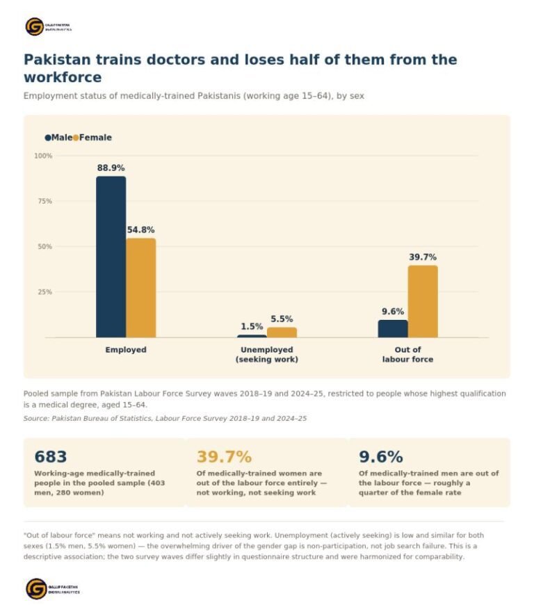 Where Pakistan’s medically-trained women leave the workforce — and where they come back.